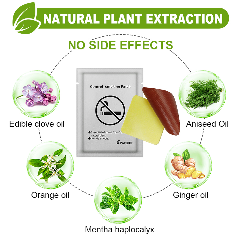 20pcs=4bags Smoking Cessation  - مراجعة Herbal Zone وسعره