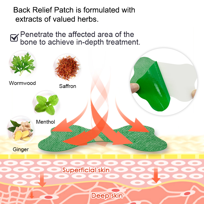 60/6 PCS Lumbar Pain Patch Wor - مراجعة Herbal Zone وسعره